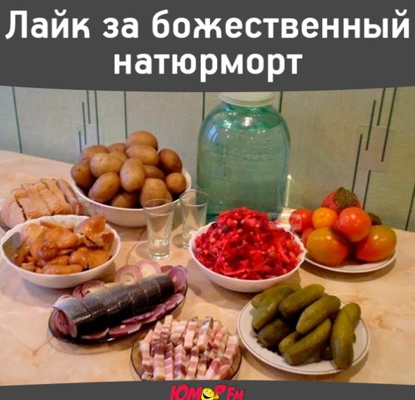 pF z mI8ZGg