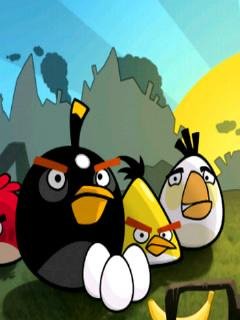 Angry Birds