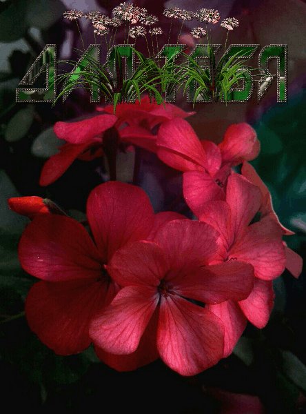 Для тебя К цветок Н