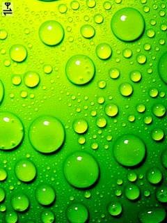 Green theme