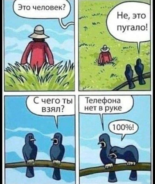 FB IMG 1776447493656