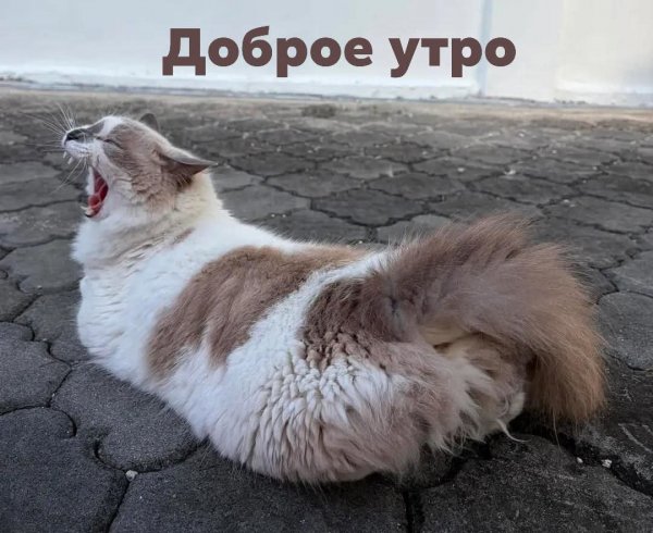 FB IMG 1771134472961