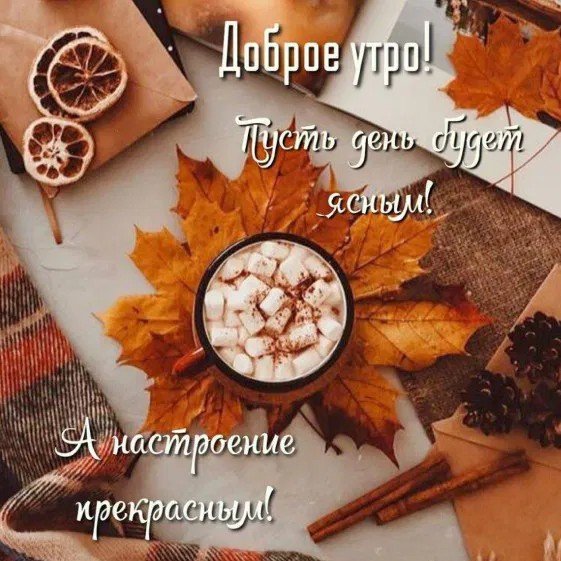 Доброе утро! Пусть день будет ясным, а настроение прекрасным