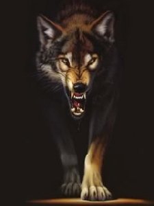 WOLFmuz