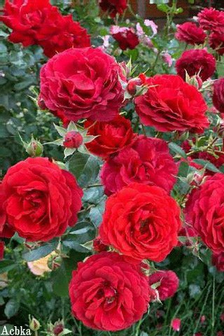 file_82568377