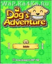A Dogs Adventure