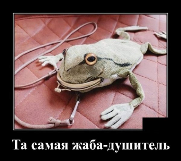 Та самая жаба...