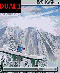 Ski Jumping 2010 PL SЕ s60 240х320