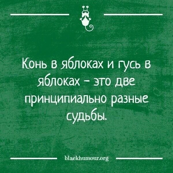 ed404820037b5ccc14db4b7e0bb47