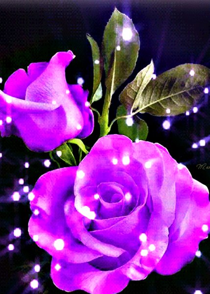 IMG 20180604 084241