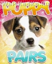 Puppy Pairs