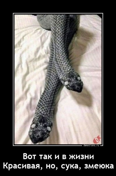Вот так и в жизни