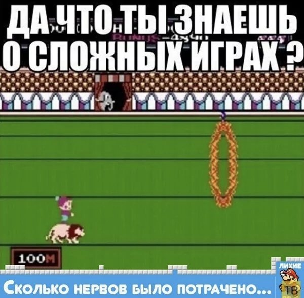 IMG 20241113 045649
