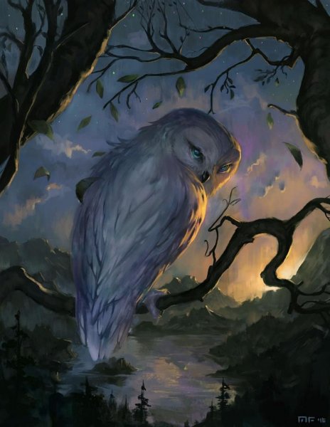 6dac37766827e7dc5f7c33bf37bf5035