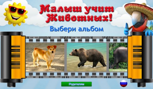МАЛЫШ УЧИТ ЖИВОТНЫХ(premium)
