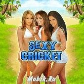 Sexy Cricket360