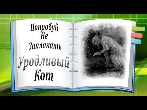 Попробуй Не Заплакать - Уродливый Кот