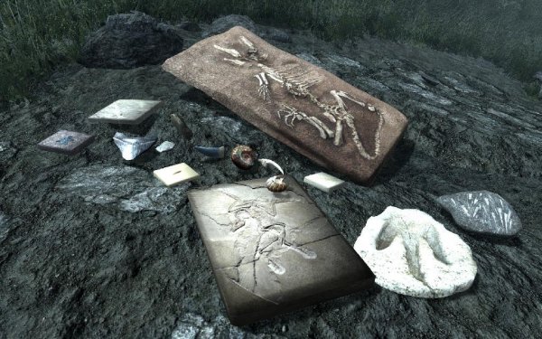 Fossil Mining