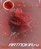 Snow-Rose-Nokia-Theme