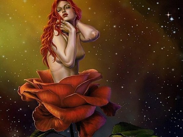 kEZ6Nwd77P5uj2D5pOss0. 000