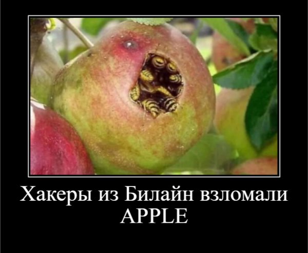 Хакеры из Билайн взломали APPLE