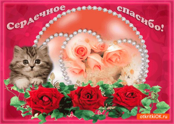 Сердечное спасибо!