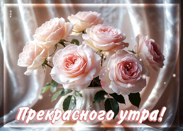 file_101439166