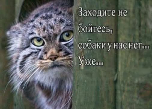 FB IMG 1774501530923