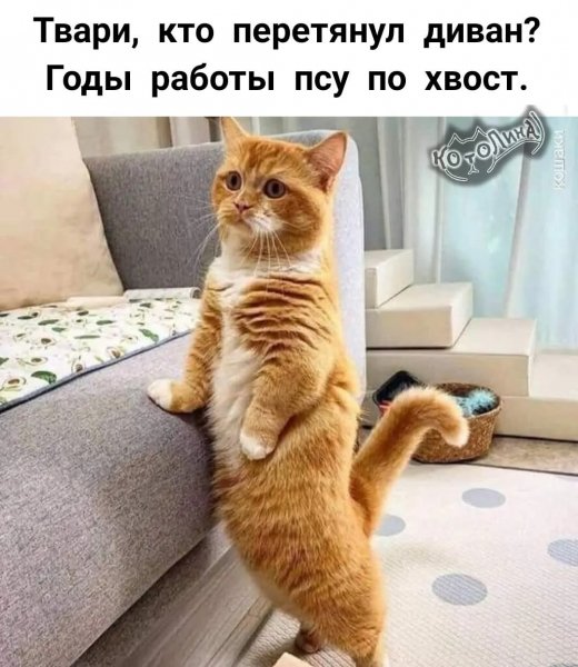 FB IMG 1771695347769