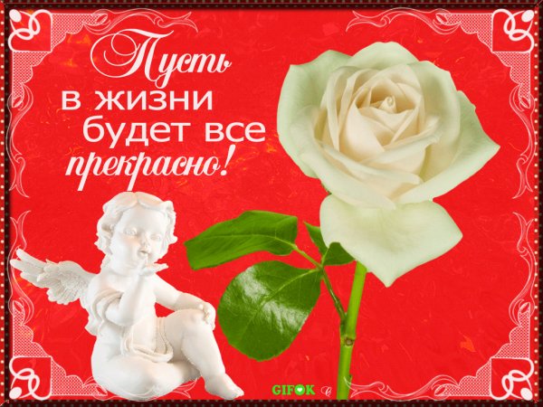 Animawka pozhelanieru