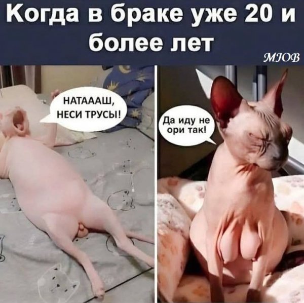 FB IMG 1775991990203