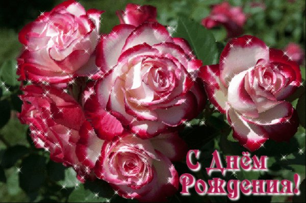 0 28ba1e 17fa524c orig