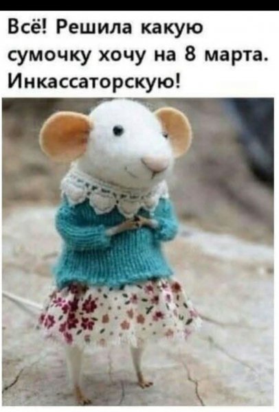 FB IMG 1777488944656