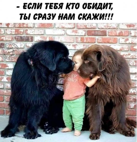 FB IMG 1777226620860