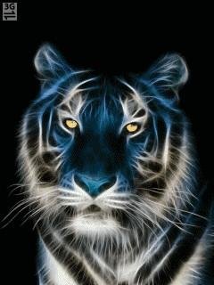 Neon tigr анимация