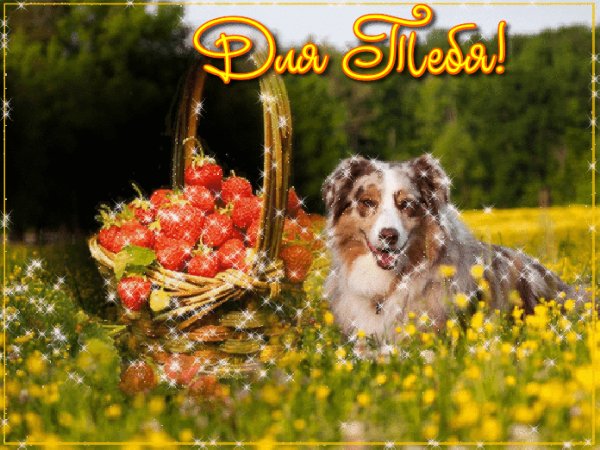 0 141cb2 35aedc6a XXL