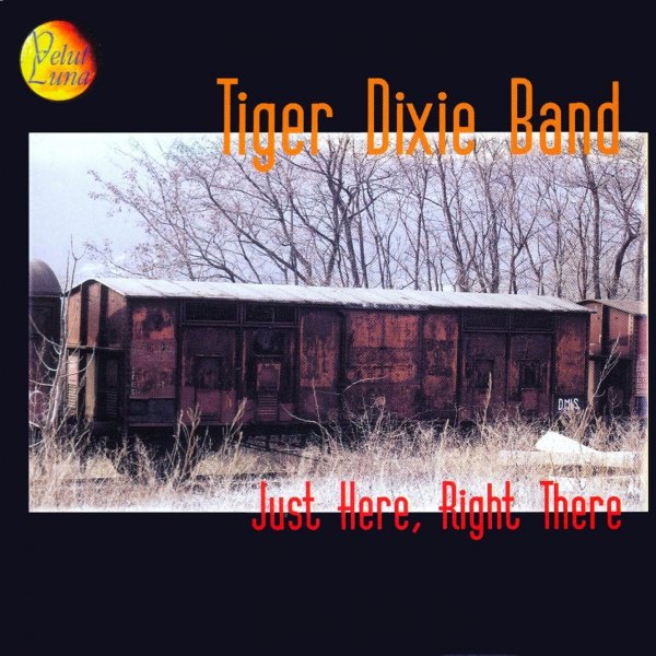 Tiger Dixie Band - The Discland