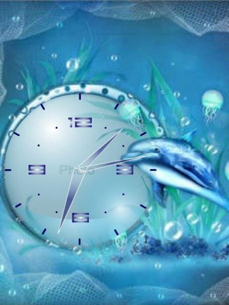 Delfinchik (havafara)