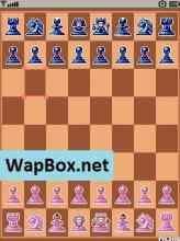 Chess Champion