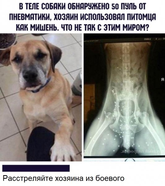 kekfeed 5d1c5a8028899d4f7e7e6968