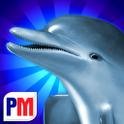 com.pokiemagic.DolphinDice.6[1]