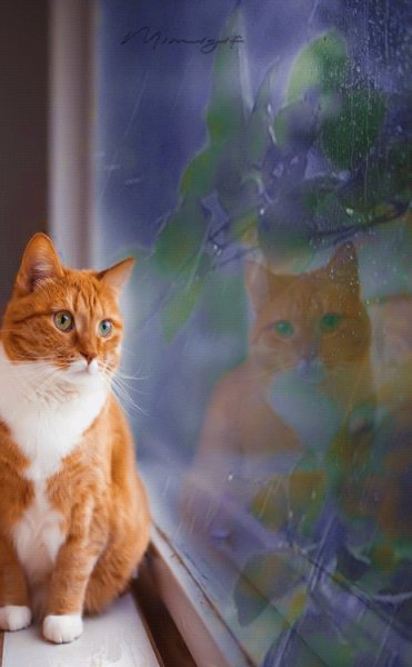 0d0bc1e04437806bbeefeb1a43d89bab