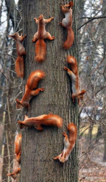 foto-prikoly-besplatno-48-foto-prikoly 4