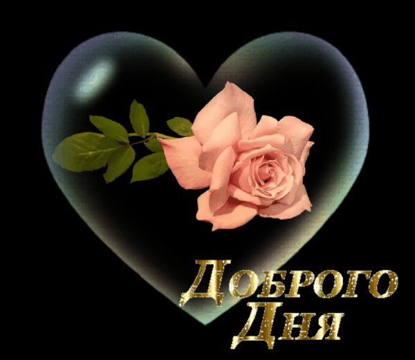 IMG 20180722 135130