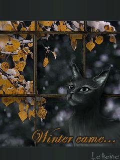 Начало зимы... (La Reina)