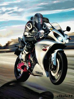 motorcycle w85f88qk