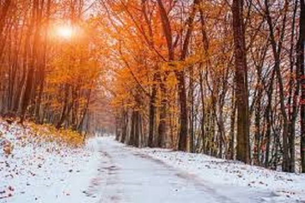 Первый снег