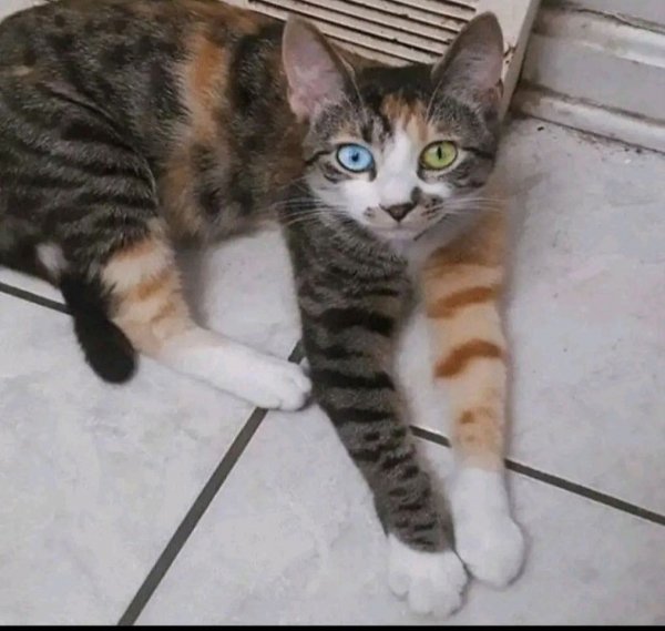 F-zt1uqmyCROTzE8WZQDyP0V-STMCnxoU1K49dAtSwzb oDkuk7QjsZIhomA