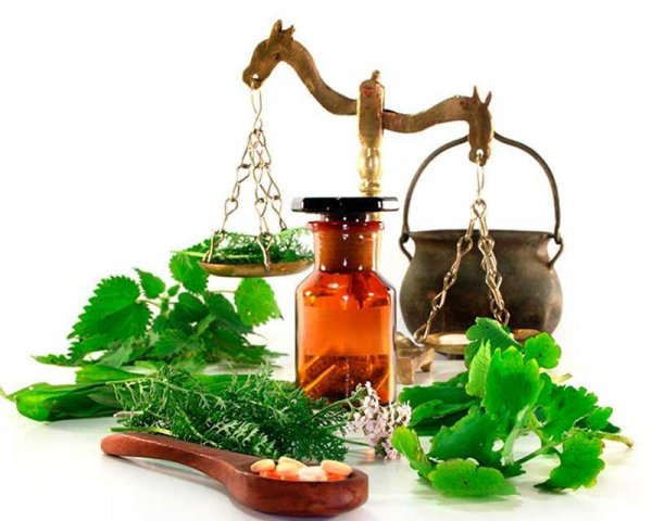 Лечение сердца травами