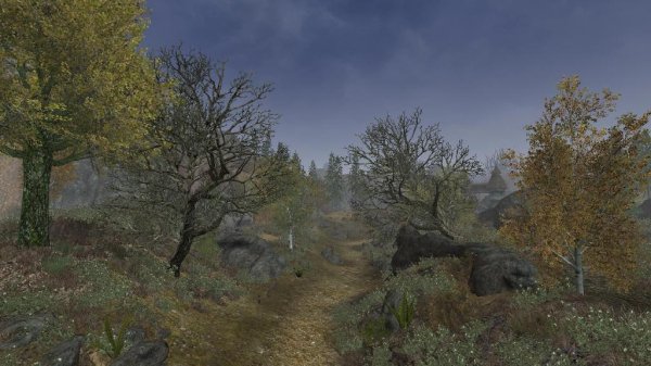 морровинд новые деревья западного нагорья